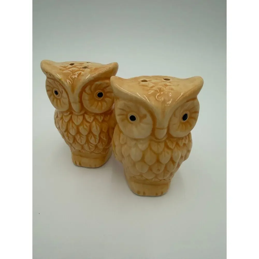 1970's Ceramic Owl Salt & Pepper Shakers Set